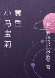 小馬寶莉：黃昏 封面