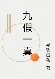 九假一真 封面