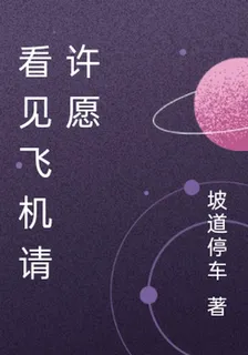看見飛機請許願 封面