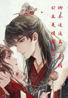 卿本逍遙王，奈何公主是恨嫁女！ 封面