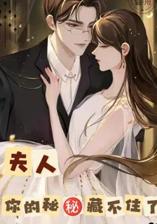 夫人你的祕密藏不住了 封面