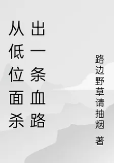 從低位面殺出一條血路 封面