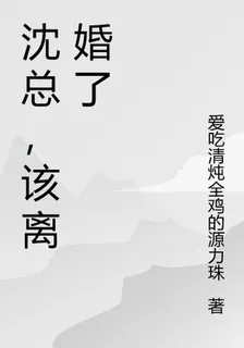 沈總，該離婚了 封面