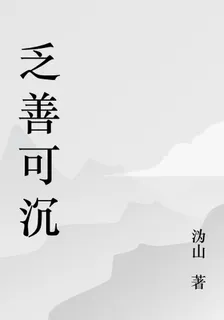 乏善可沉 封面