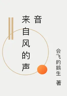 來自風的聲音 封面