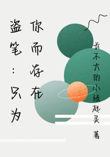 盜筆：只爲你而存在 封面