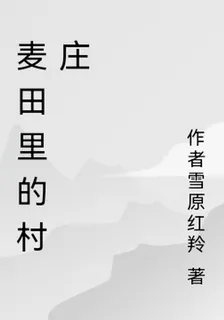 麥田裏的村莊 封面