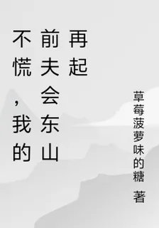不慌，我的前夫會東山再起 封面