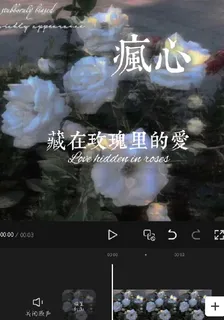 藏在玫瑰裏的愛 封面
