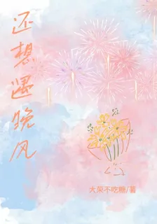 還想遇晚風 封面