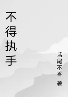 不得執手 封面