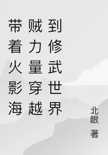 帶着火影海賊力量穿越到修武世界 封面