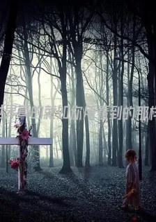 世界真的就如你看到的那樣？ 封面