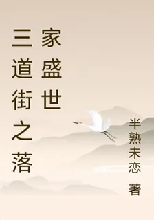 三道街之落家盛世 封面