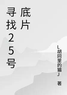 尋找25號底片 封面
