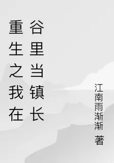 重生之我在谷里當鎮長 封面