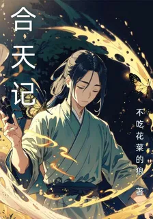 合天記 封面