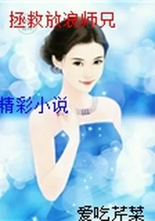 拯救放浪師兄 封面