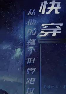 快穿：從他的整個世界路過 封面