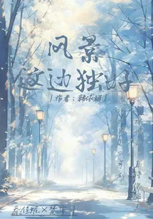 風景這邊獨好 封面