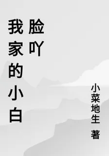 我家的小白臉吖 封面