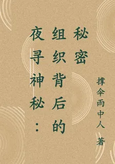 夜尋神祕：組織背後的祕密 封面