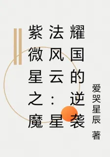 紫微星之魔法風雲：星耀國的逆襲 封面