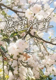 心願清單 封面