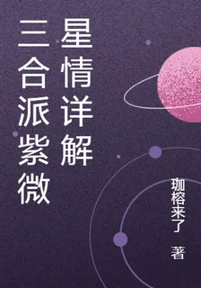三合派紫微星情詳解 封面