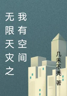 無限天災之我有空間 封面