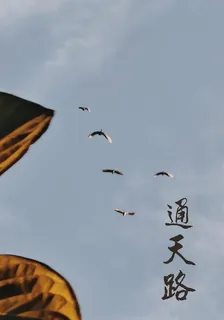 通天路z 封面