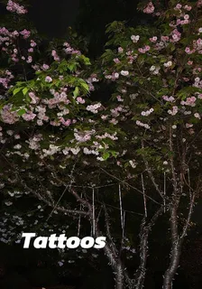 Tattoo 封面