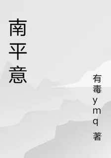 南平意 封面