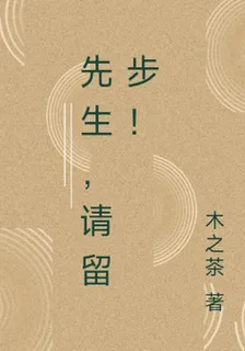 先生，請留步！ 封面