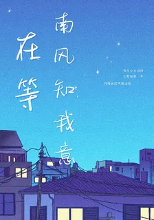在等，等南風知我意 封面