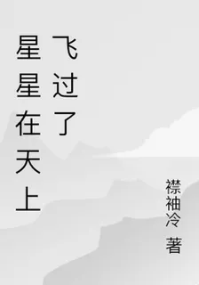 星星在天上飛過了 封面