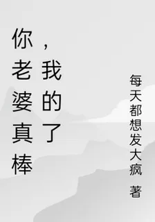你老婆真棒，我的了 封面