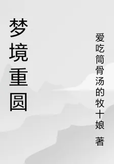 夢境重圓 封面