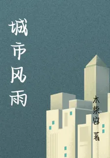 城市風雨 封面