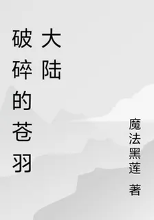 破碎的蒼羽大陸 封面