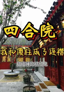 四合院：我和傻柱成了連襟兒 封面