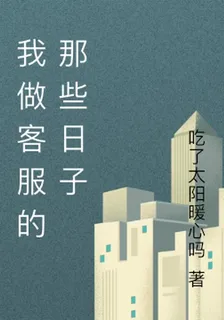 我做客服的那些日子 封面