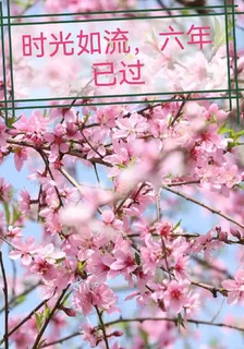 時光如流，六年已過 封面