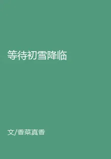 等待初雪降臨 封面