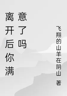 離開後你滿意了嗎 封面