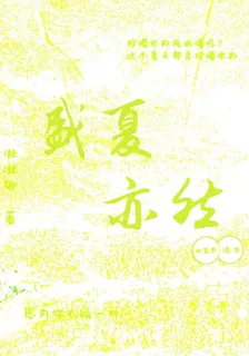 盛夏亦然 封面