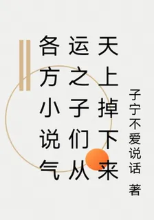 各方小說氣運之子們從天上掉下來 封面