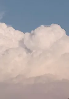 梅花生 封面