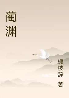 藺淵 封面