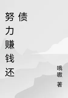 努力賺錢還債 封面